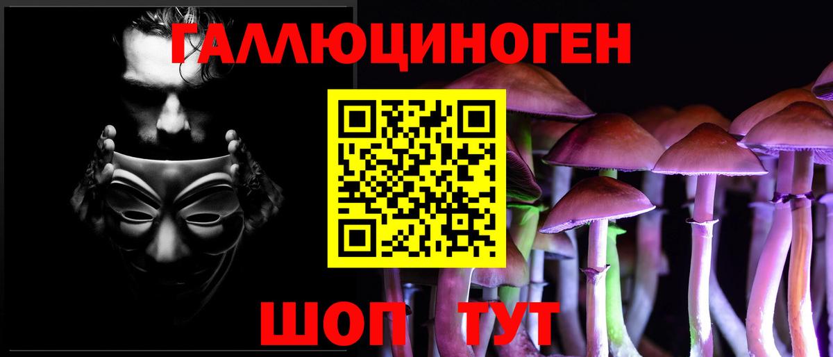 Галлюциногенные грибы GOLDEN TEACHER  Вход с VPN  Киржач  Псилоцибиновые грибы Psilocybine cubensis 